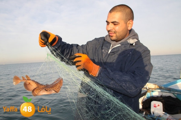 sayyadnewyaffa3 (10).JPG